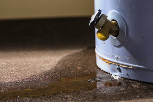 Best Mold removal after water damage  in Fall River, WI