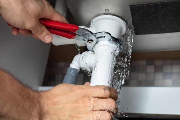 Best Carpet water damage restoration  in Fall River, WI