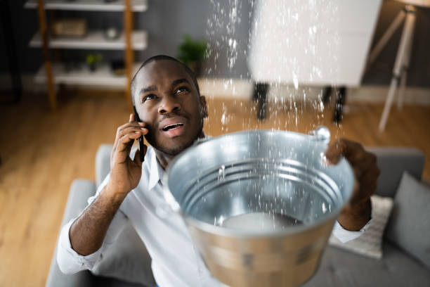 Best Flooded house restoration  in Fall River, WI