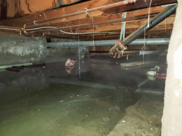 Best 24-hour water damage restoration  in Fall River, WI