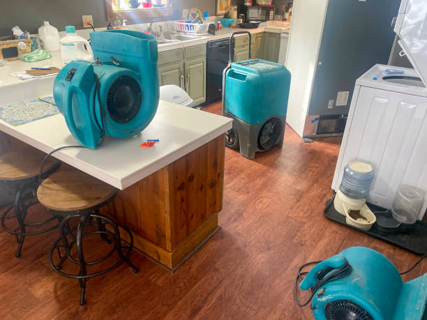 Best Flood damage cleanup  in Fall River, WI