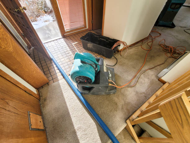 Best Residential water damage restoration  in Fall River, WI