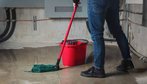 Best Professional water damage repair  in Fall River, WI