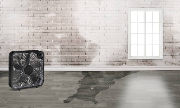 Best Water damage restoration near me  in Fall River, WI