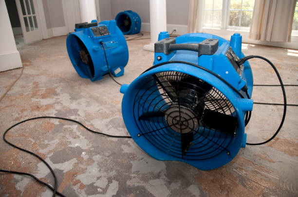 Best Water damage restoration near me  in Fall River, WI