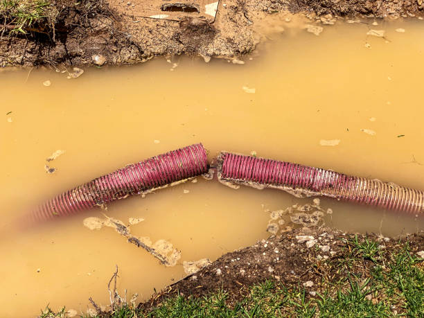 Best Water damage contractors near me  in Fall River, WI