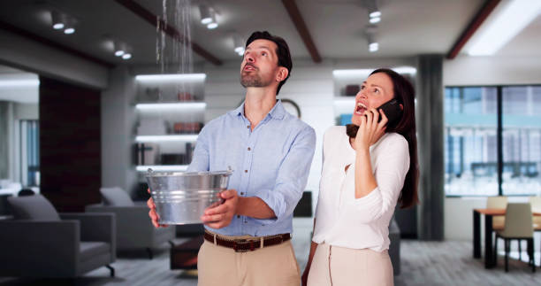 Best Water damage mitigation services  in Fall River, WI