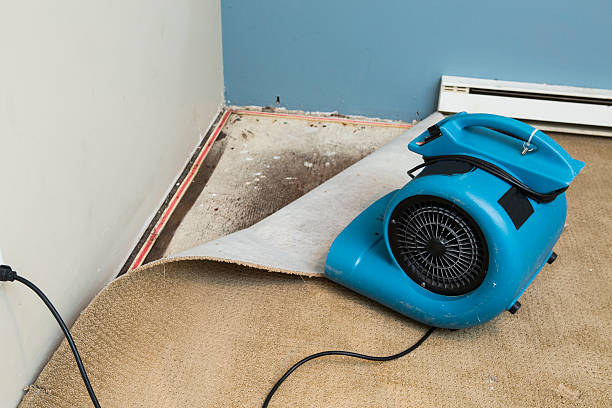 Best Water damage cleanup near me  in Fall River, WI